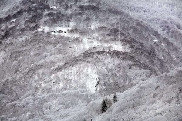 Montagna