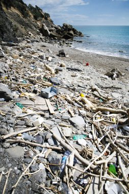 Spiaggia discarica