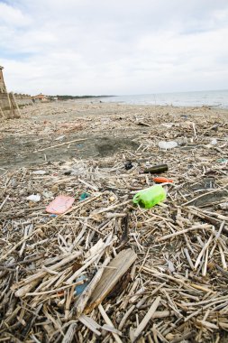 Spiaggia discarica