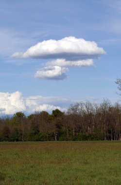 Mushroom shape cloud clipart