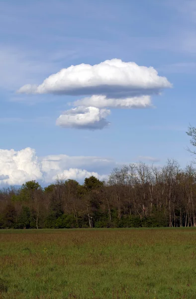 Pilzförmige Wolke — Stockfoto
