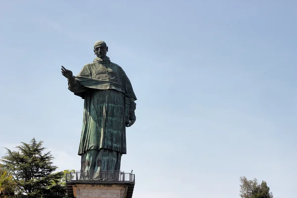 San Carlos borromeo —  Fotos de Stock