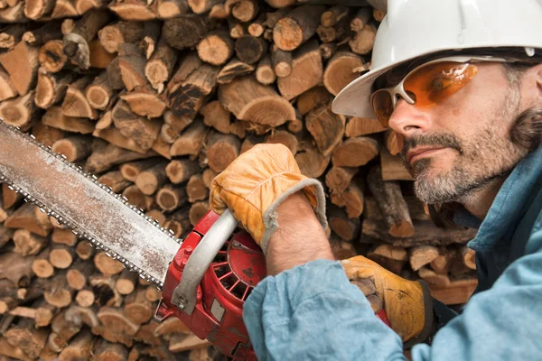 Lumberjack — Stock Photo, Image
