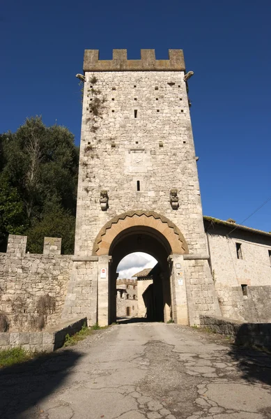 Medieval Gate and tower — Stock Photo, Image