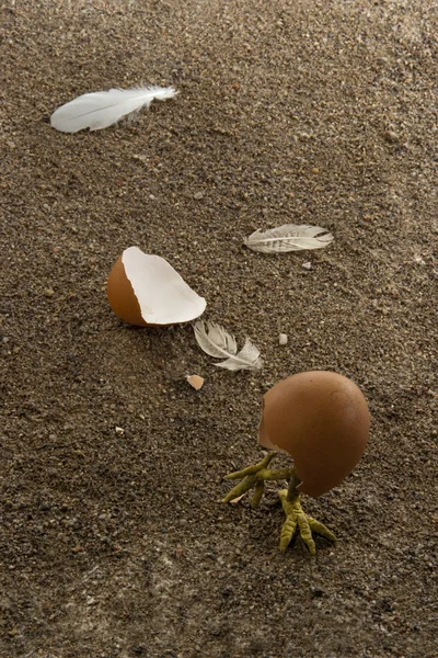 Brud och spruckna ägg — Stockfoto
