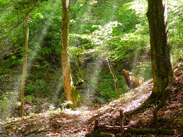 Ormanda düşen geyik — Stok fotoğraf
