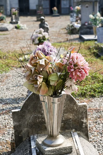 Bunte Seidenblume — Stockfoto