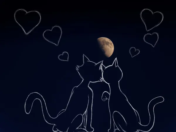 Gatti innamorati sotto la luna — Foto Stock