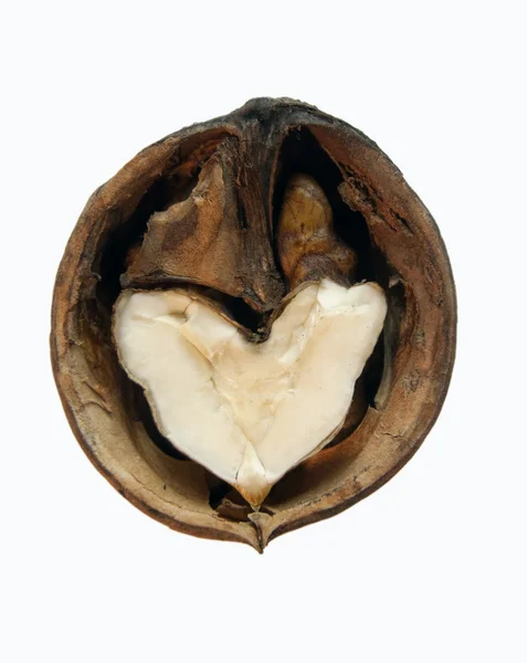 Orzech kształt serca — Zdjęcie stockowe