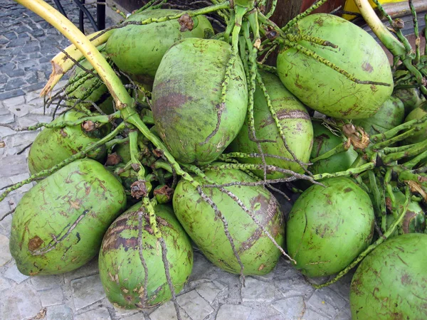 Бразильский кокос агуа-де-коко — стоковое фото