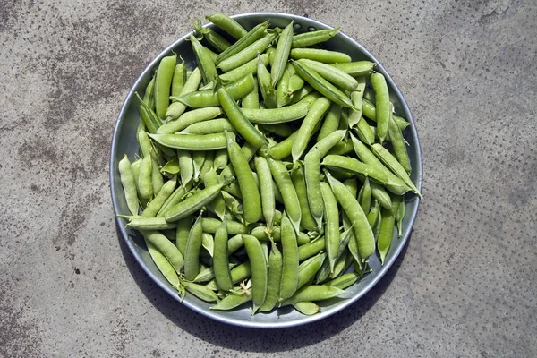エンドウ豆の鞘のトレイ — ストック写真