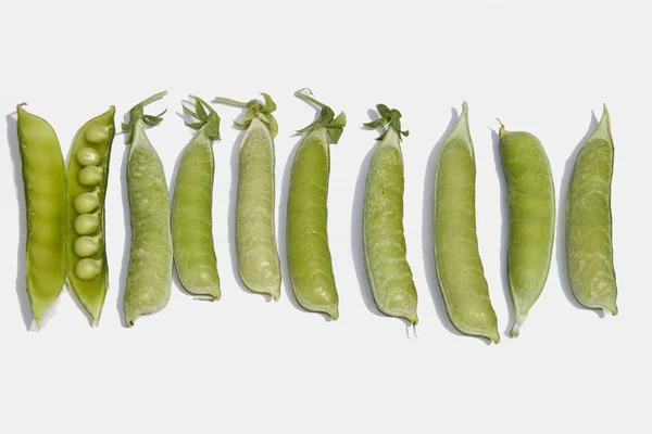 行のエンドウ豆の鞘 — ストック写真