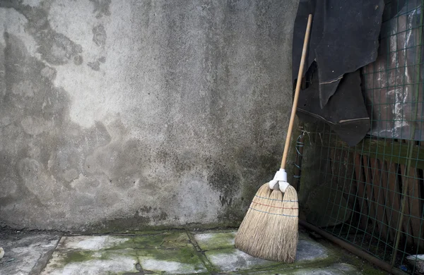 Whisk broom — Stock Photo, Image
