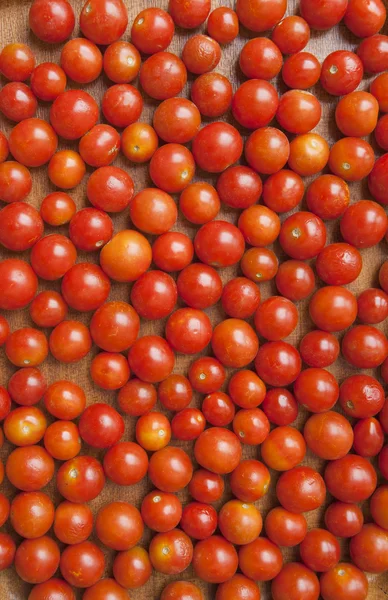 チェリー トマト パターン — ストック写真