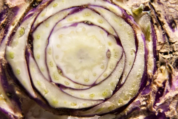 Turnip close-up vegetal — Fotografia de Stock