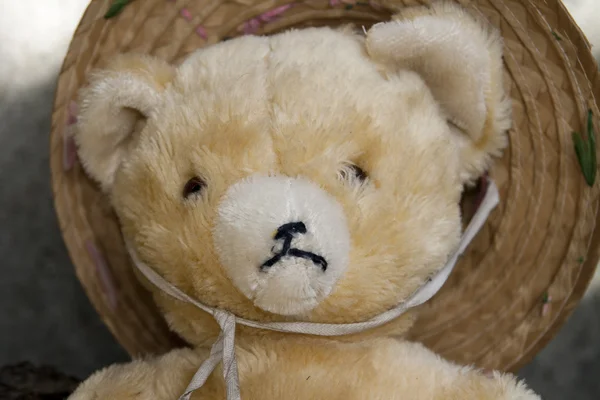 Stock image Portrait of a teddy bear