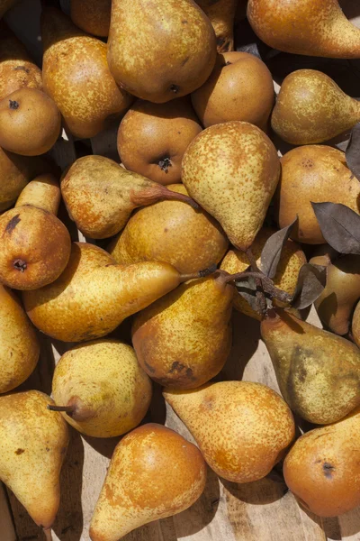 Pears texture — Stock Photo, Image