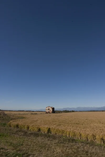 Opuszczony dom zniszczony ryżu — Zdjęcie stockowe