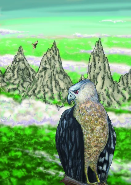 Águila en las montañas — Foto de Stock