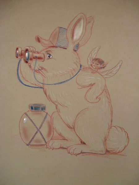Binoculars rabbit — Stock Photo, Image