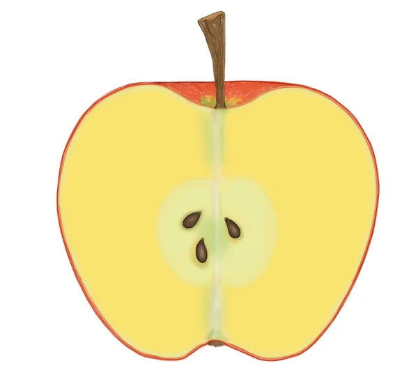 Jabłko przekrój — Zdjęcie stockowe
