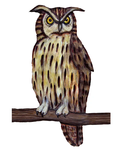 Owl isolated over white — Stock Photo, Image