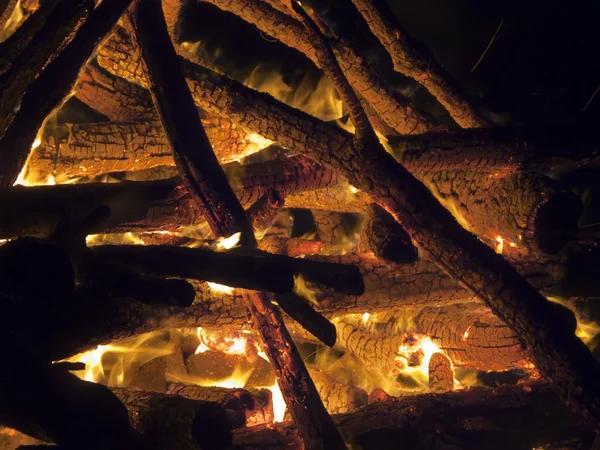 Modieuze riemkömür ve yangın — Stok fotoğraf
