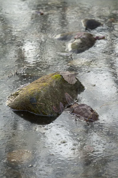 Felsen in einem Teich — Stockfoto