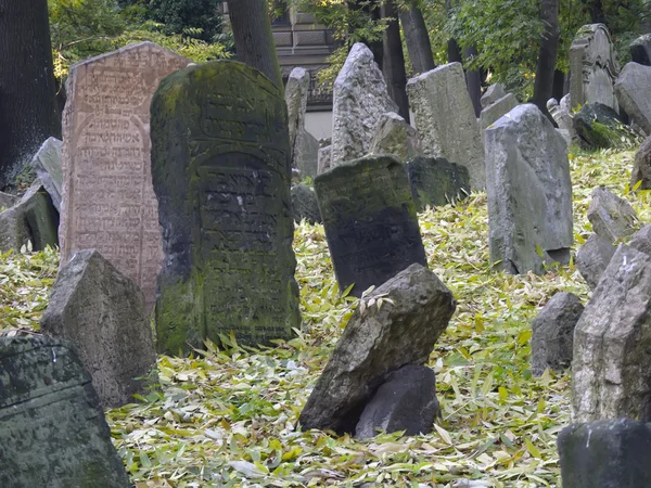 Żydowski cmentarz w Pradze — Zdjęcie stockowe