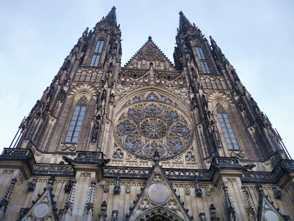 Catedrala din Praga — Fotografie, imagine de stoc