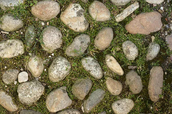 Pavimento de piedra —  Fotos de Stock