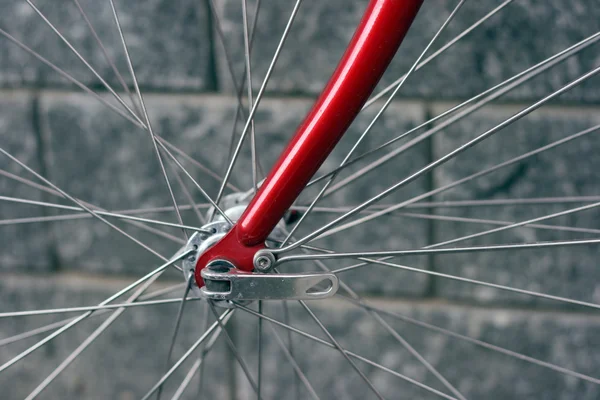 자전거 앞 바퀴 — 스톡 사진
