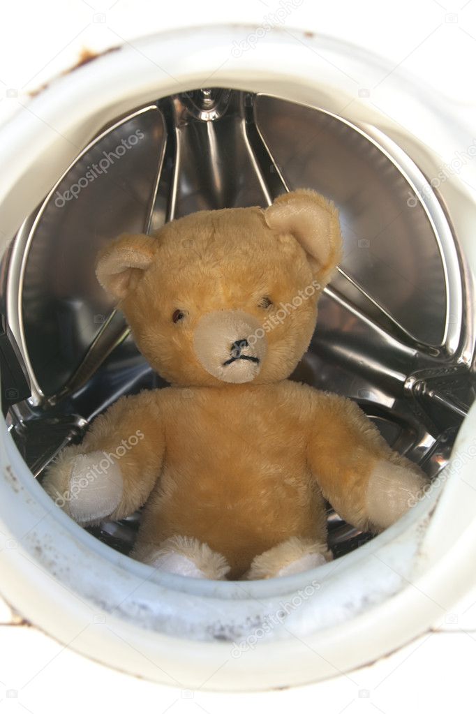 teddy bear washing machine