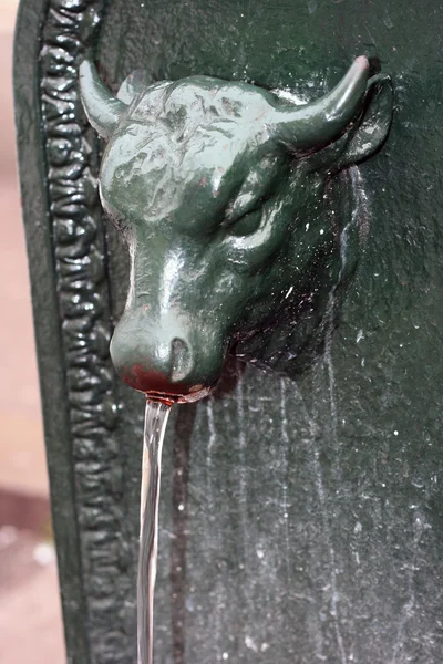 都灵的公共喷泉牛象征 — 图库照片