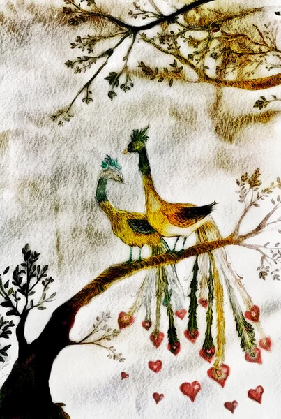 Vogels in de liefde — Stockfoto