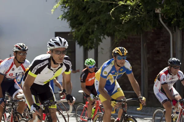 Grupo de ciclistas — Foto de Stock