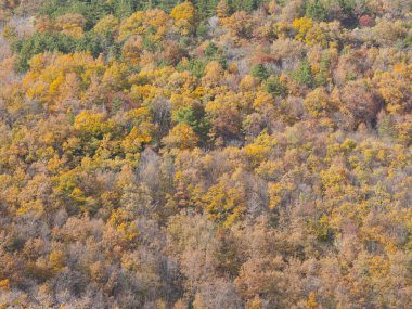 Amiata doğal park