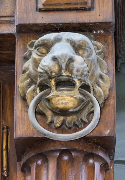 Lion head skulptur — Stockfoto