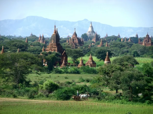 Chrámy v Bagani, Myanmar — Stock fotografie