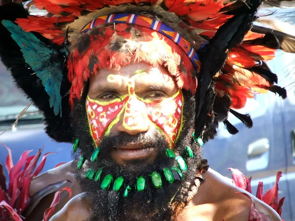 Папуа-воин — стоковое фото