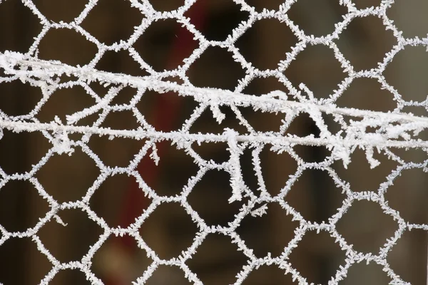 Frosty mesh — Stock Photo, Image