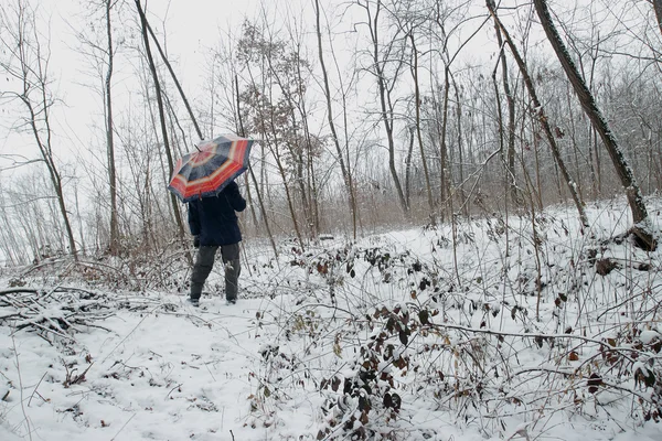 雪に覆われた森の中の男 — ストック写真