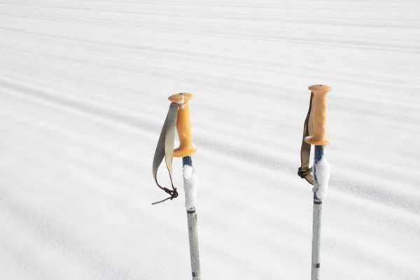 Лижні стовпи на снігу — стокове фото