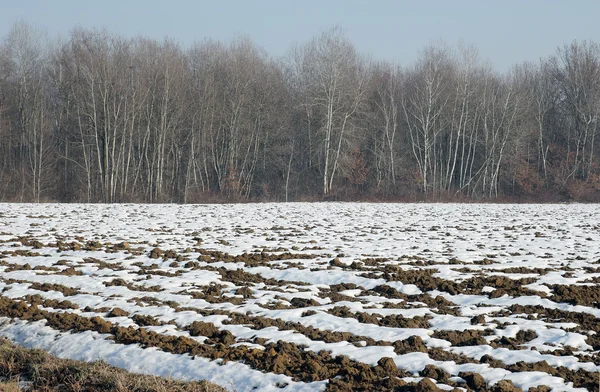 stock image Plowed soil covered in snow