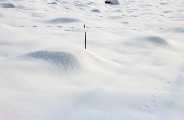 Снежная дюна — стоковое фото