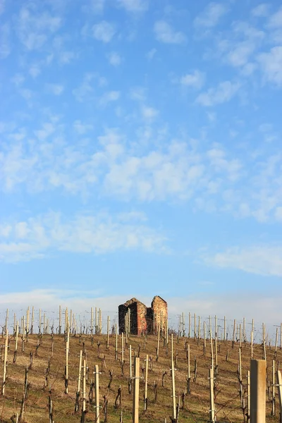 Vineyard ruin — Stock Photo, Image