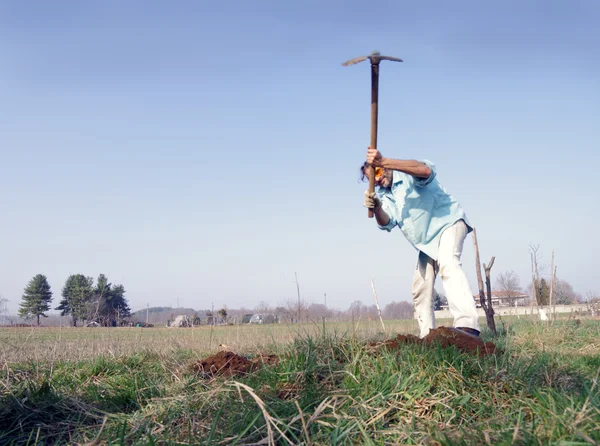 鍬を持つ庭師 — ストック写真