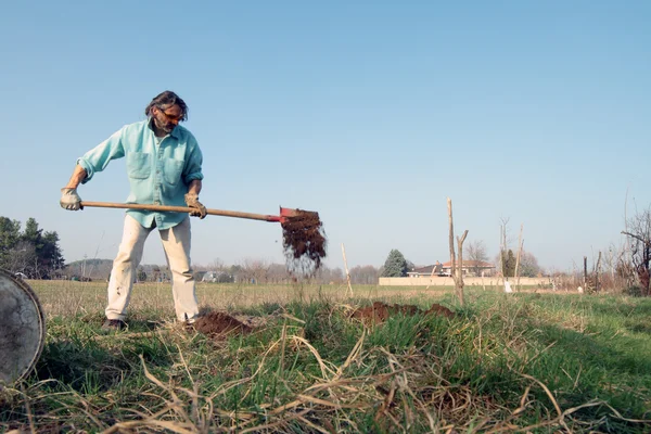 Trädgårdsmästare med spade — Stockfoto