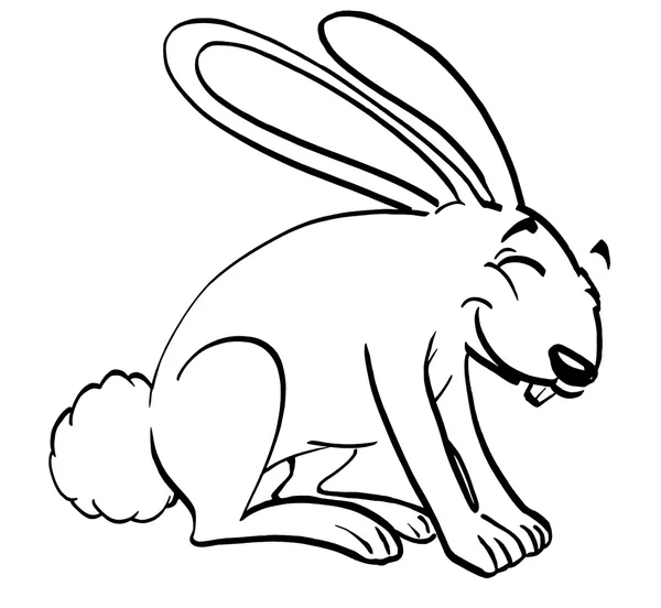 Smiling Rabbit — Stock Photo, Image