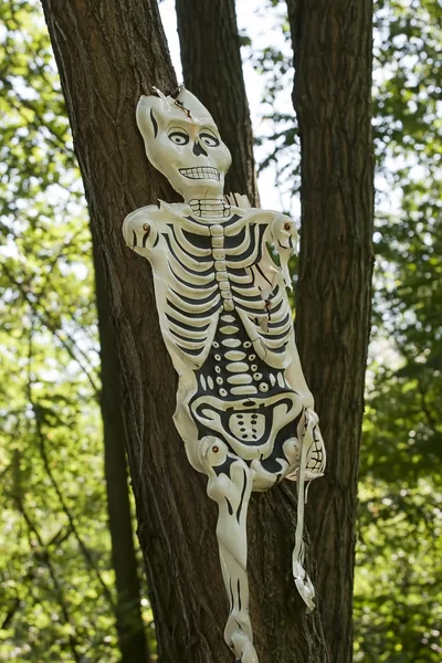 Máscara de esqueleto — Fotografia de Stock